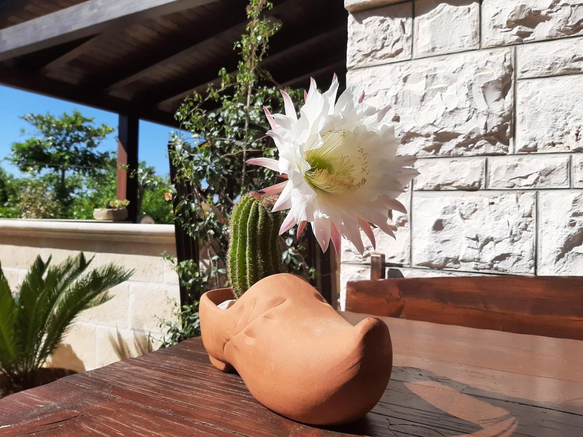 Villa Bellocchio Locorotondo Zewnętrze zdjęcie